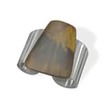 Brown Shell