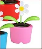 Solar Dancing Flower (Bubble Package) - Pink Pot