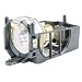 Kitchen & Housewares : Hitachi 230W 2000HRS UHB Replacement Lamp for CPX440 and CPX444