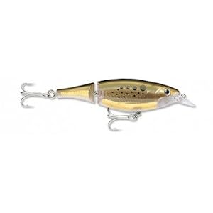 X-Rap Jointed Shad Bunker by