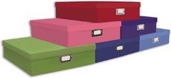 Pioneer 12 Inch by 12 Inch Storage Box, Assorted 