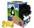 BO the Presidential Dog