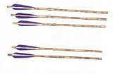 Barnett Outdoors Carbon Crossbow 20-Inch Arrows with Field Points (5 Pack)