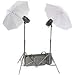 RPS Studio 320 watt, 2 Monolight Portable Strobe Kit, with PC Cords, 2 Umbrellas, Stands, & Heavy Duty Nylon Case