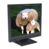 Planar PE1901-BK 19-in LCD Monitor