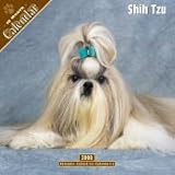 2008 Shih Tzu 2008 16 Month Pinup Wall Calendar **IN STOCK NOW**