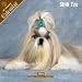 shih tzu - 2008 Shih Tzu 2008 16 Month Pinup Wall Calendar **IN STOCK NOW**
