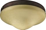 Quorum WET CFL LK W/ OPAL - GV