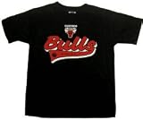 adidas Chicago Bulls Kirk Hinrich Youth (sizes 8-20) Replica Road Jersey