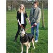 Lover's Leash Dual Handle Leash For Dogs