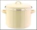 Judge Induction 24cm Stockpot - Green