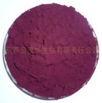 Purple Corn Extract Powder, 100 grams