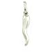 Italian Horn Charm 14k White Gold 15mm