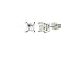 Certified 14k White Gold Princess Cut Diamond Stud Earrings (1/4 cttw, I-J Color, I1-I2 Clarity)