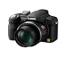 Electronics : [Bundle] Lumix DMC-FZ28 - black + SLR Camera Case + Class 6 4 GB SDHC Memory Card