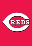 Cincinnati Reds Garden / Window Flag