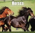 Horses 2008 Page-Per-Day Calendar - 2008 Animal Calendars