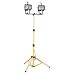 Coleman Cable 07776 Two-Light 1000-Watt Quartz Halogen Light with Tripod