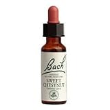 Bach Flower Remedies, Sweet Chestnut 20 ml