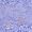 Violet Mix