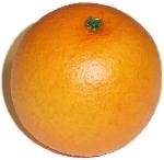 Review Flora-cal Products  / ORANGE Fake Food