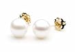 AAA Quality Round 7.5-8mm Akoya SaltWater cultured White Pearl Earrings with 14K Yellow Gold Mount