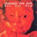 Legendary Pink Dots-Any Day Now