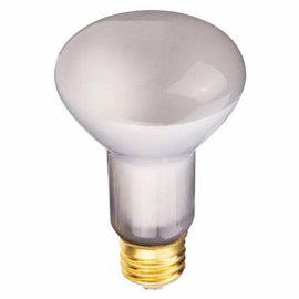 WP 30WR20 Refl FLD Bulb