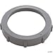 Jandy R0768200 Locking Ring Replacement for Select Zodiac AquaPure Ei Series
