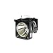 Electronics : Replacement Lamp/filter for Mt820/1020