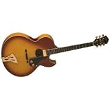 Musical Instruments : J4 Hollow Body Electric Guitar