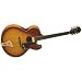J4 Hollow Body Electric Guitar