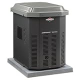 Briggs & Stratton
