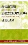 Shorter Encyclopaedia of Islam