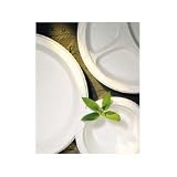 Popular Choice 6 Lightweight White Plastic Plates (82206CHNT) Category: Plastic Plates