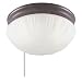 Westinghouse #67202 2LGT Sienn Ceiling Fixture