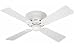 Tools & Hardware : Hunter 23866 Lowprofile III 42-Inch White Ceiling Fan with 4 White Plastic Blades