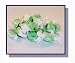 Creme de Menthe Salt Water Taffy