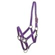 NYLON HORSE HALTER PURPLE