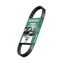 Dayco HP2003 Outdoor Activity Belt