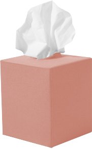 Tissue Box Sox - Dusty Rose - Cube