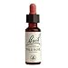 Wild Rose Tincture 20 ml, 0.70 fl. oz.