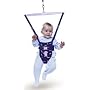 Tippitoes Doorway Bouncer
