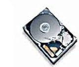 Seagate Cheetah 10K.7 - Hard drive - 300 GB - internal - 3.5
