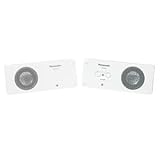 Panasonic RP-SP48-W Portable Speakers with 2W +2W (White)