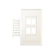 CHANNEL VISION 10-G-4DGW 4 Jack White Decora Plate