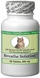 Feline Breathe Solution