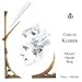Carlos Kleiber Plays Mozart, Haydn, Berg