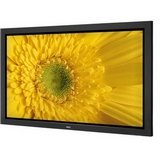 NEC PlasmaSync 42XP10 - 42 Professional Series plasma panel - widescreen - 720p - HDTV monitor - black