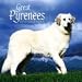 dogs30  - Great Pyrenees 2010 Wall Calendar